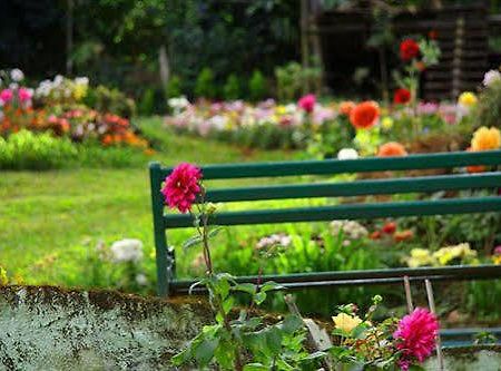 Oak Field Resort Munnar Exterior foto